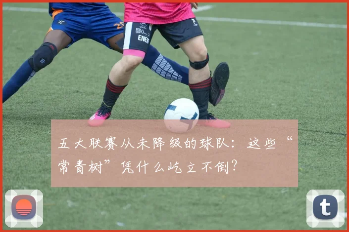 五大联赛从未降级的球队：这些“常青树”凭什么屹立不倒？