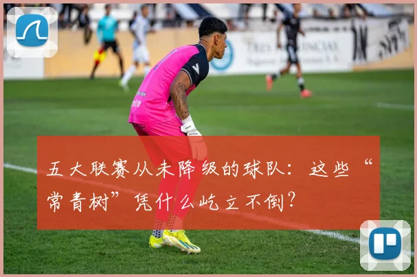 五大联赛从未降级的球队:这些“常青树”凭什么屹立不倒?